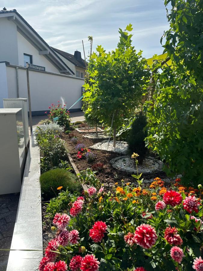 Diamond House Deluxe 9 Koblenz *